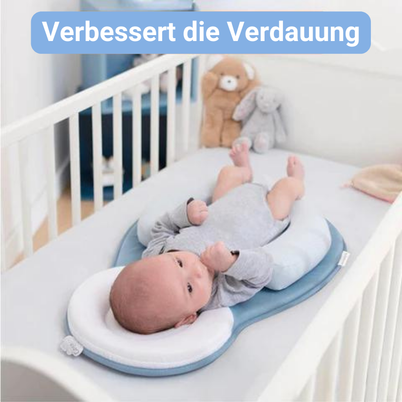 molova.de